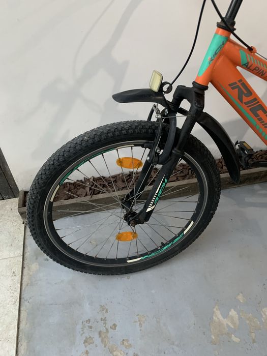 Bicicleta rich alpin