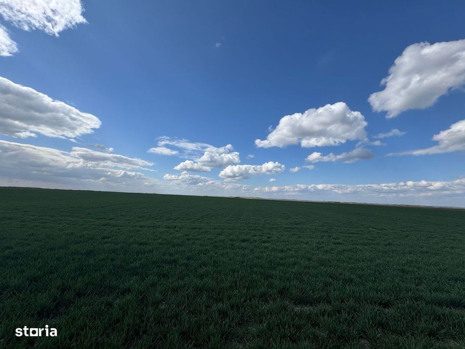 Teren extravilan 17700mp Biharia