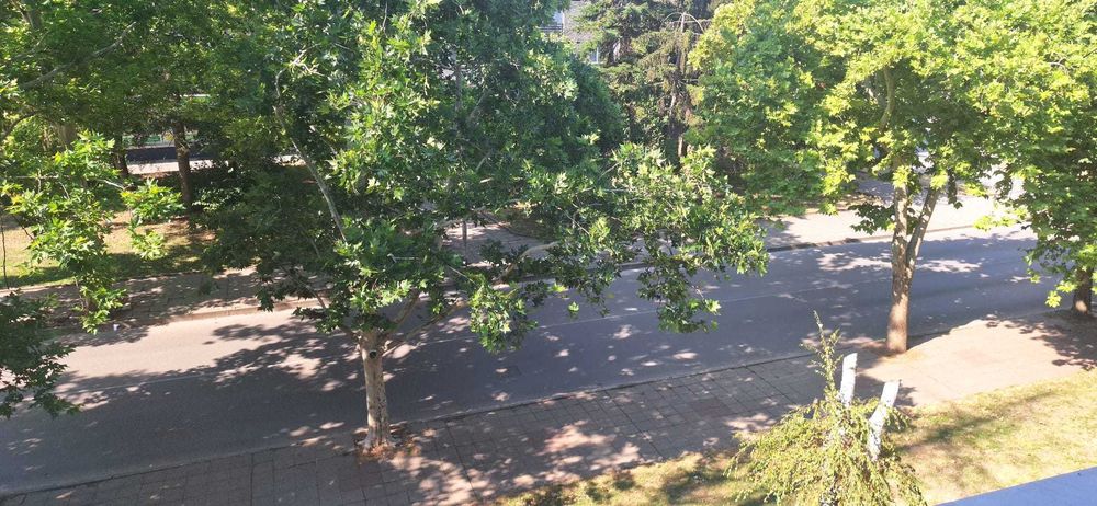 Продава се Тристаен апартамент в Разград, Център - 90 кв.м за 1615 €/кв.м - Снимка #8