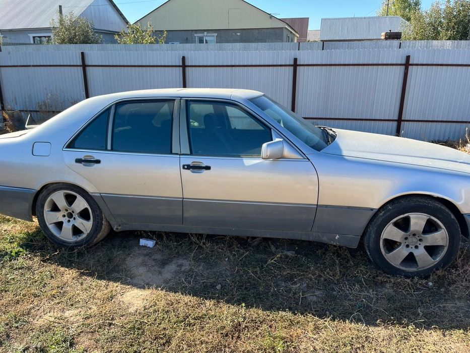 Продам кабан срочно