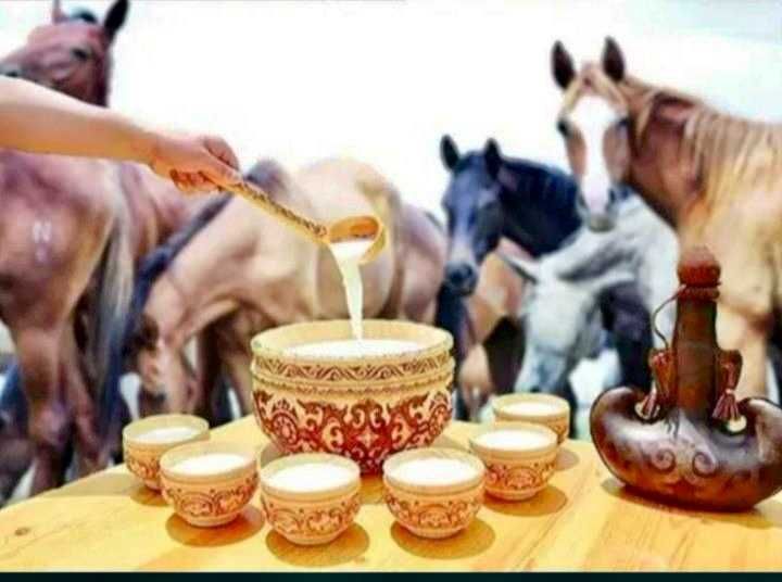 Меркінің қымызы 1300 тг