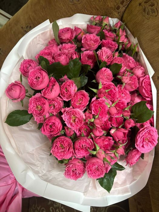 Бүгінгі свежый гул!