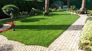 Посев и укладка газона, установка микроклимата