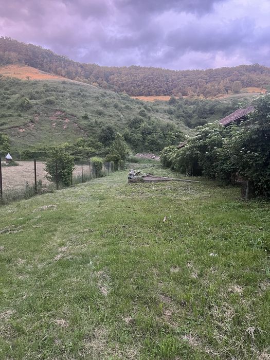 Cazare caini Cluj DogStar, pensiune caini, dresaj caini, toaletaj