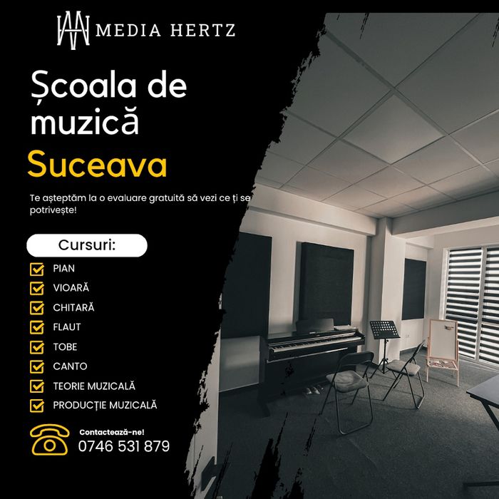 Lectii de pian, chitara, vioara Suceava