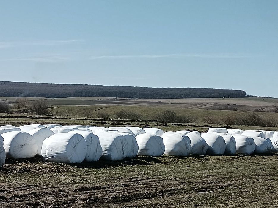 Vînd baloți înfoliati de lucernă coasa 3 si  4 250 balotil