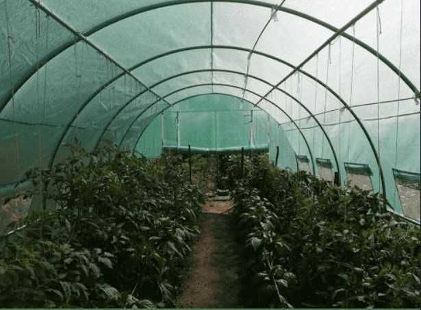 Solarii rezistente 4x6, 4x8, 4x10 –Preț mic +Transport GRATUIT + Cadou