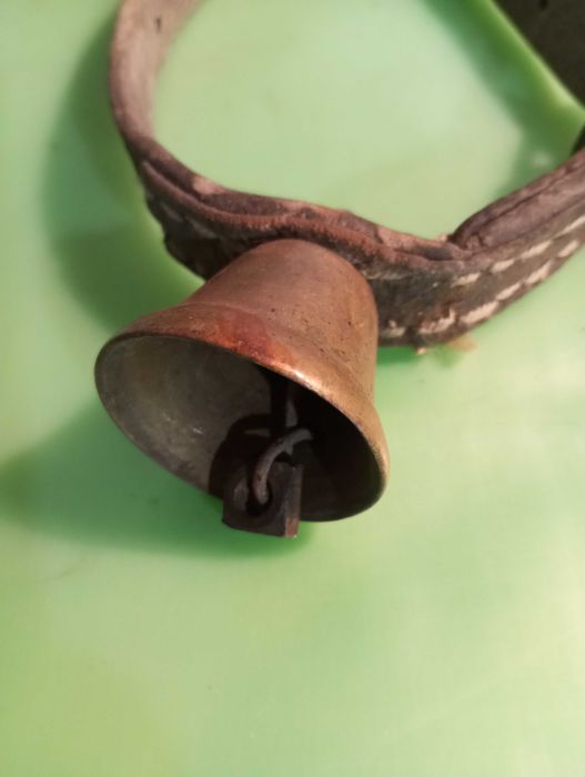 Камбана , хлопка , звънец , орехче , чан