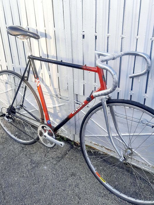 cadru single speed / cursiera