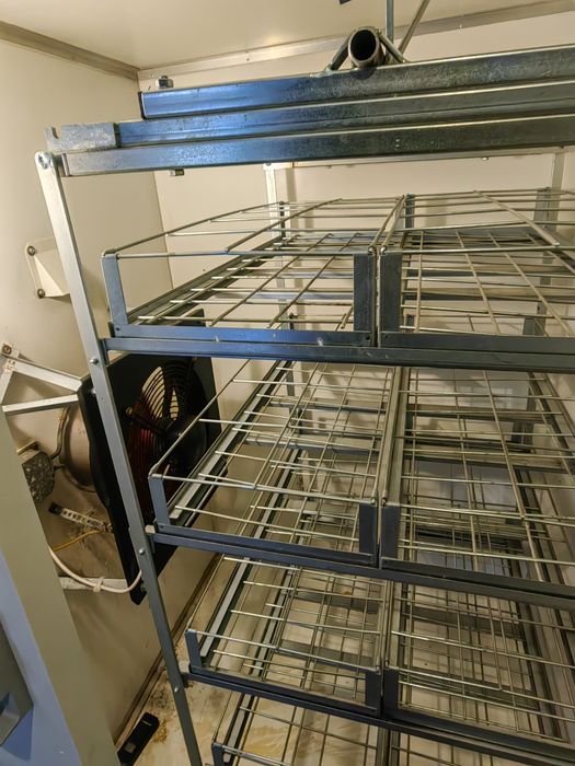 Incubator +eclozor OUA STRUT