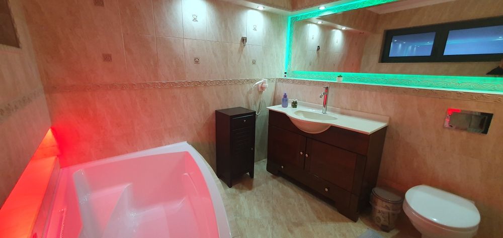 Vila de închiriat Băile Felix