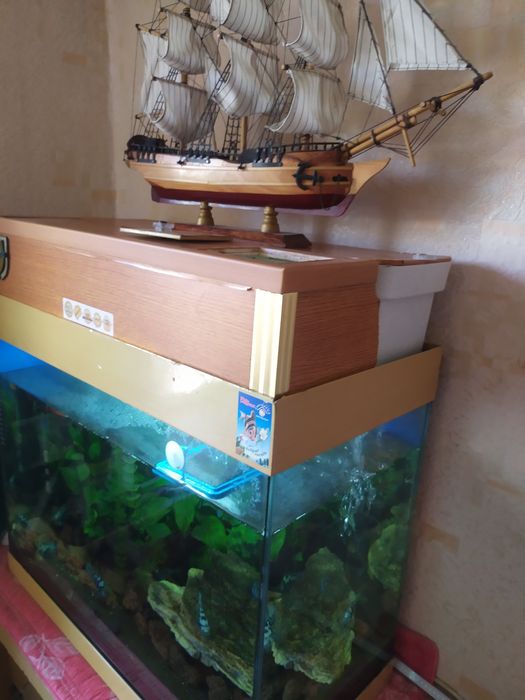 Аквариум с рыбками продам