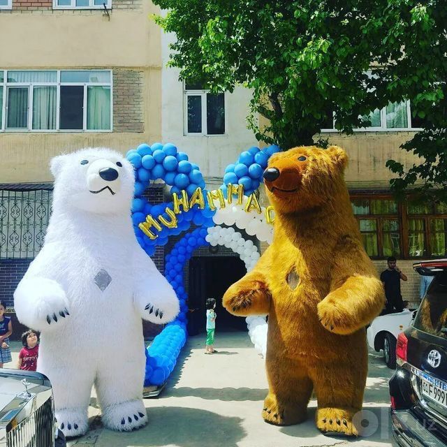 Ayiqlar  sotuvda
