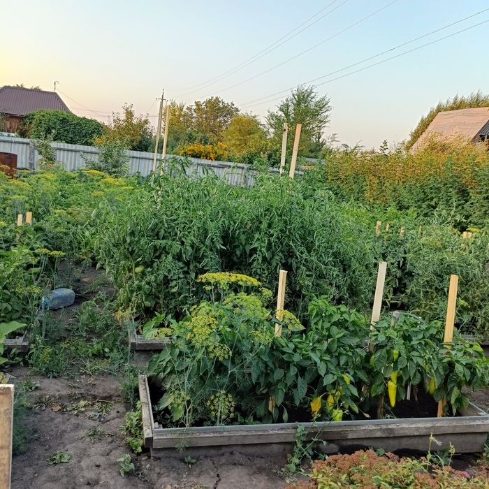 Продам Дачу, СО Чапаево