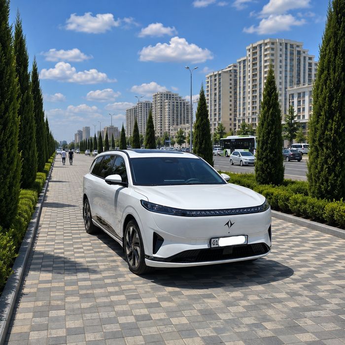 Dongfen 008 Hybrid 2025