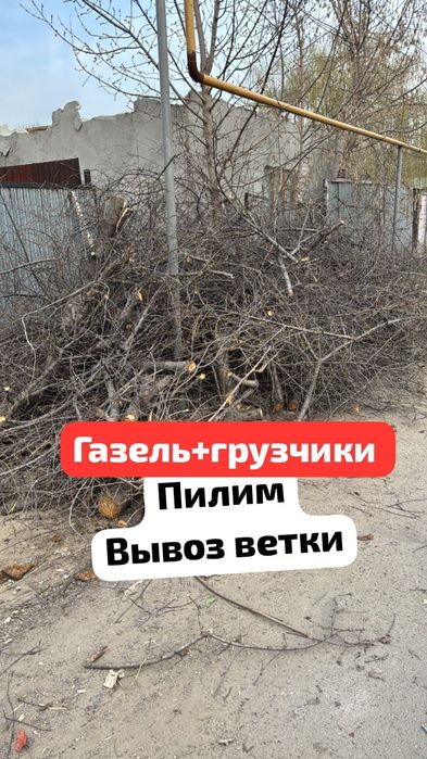 Вывоз мусор с гарантией