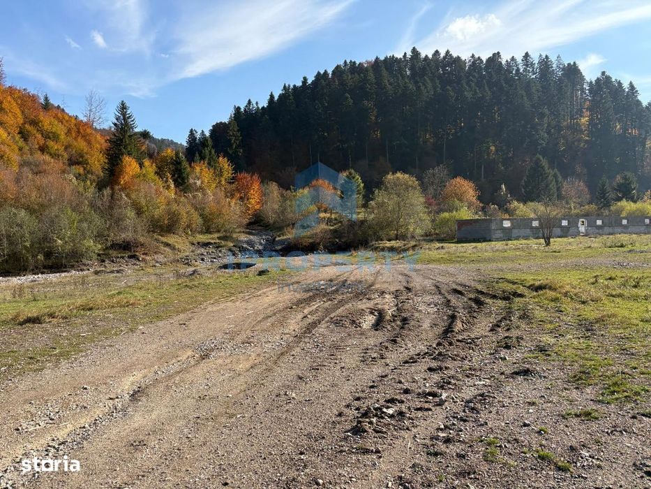 Teren |  1 ha |  Pastravarie |  Pensiune | Complex Agrement