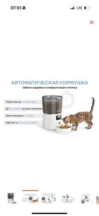 Автокормушка для кошек и собак