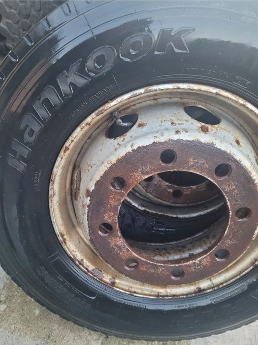 Anvelope complecte Remorcă, Hankook  265/70 R19.5 (8prezoane) RM 2