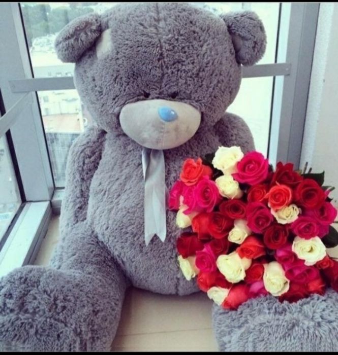 Teddi Teddy Orginal Yengi