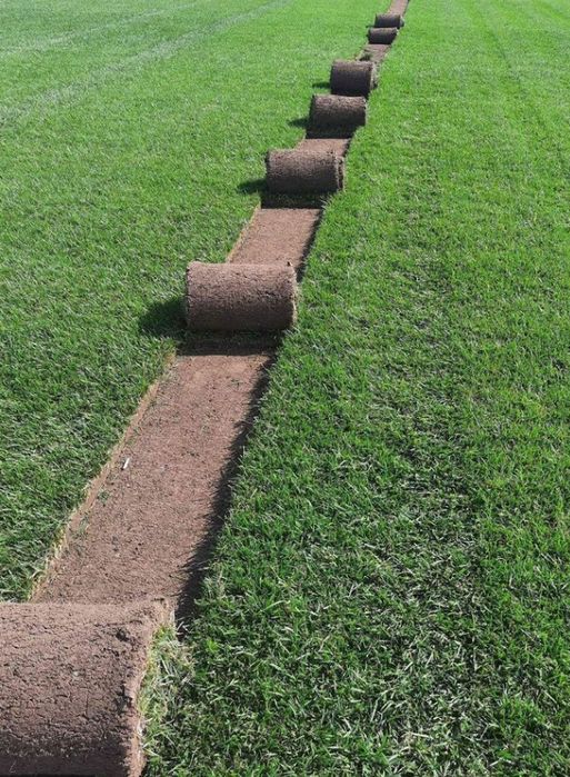 Gazon rulou sisteme de irigații