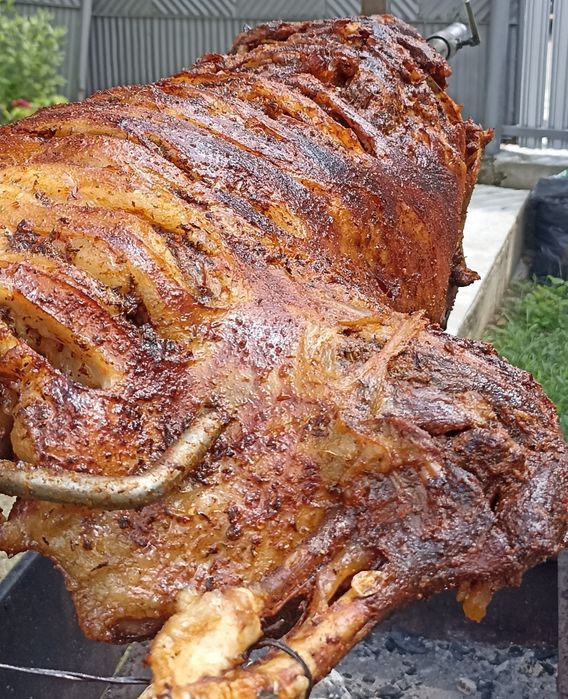 Protap Traditional Evenimente Private