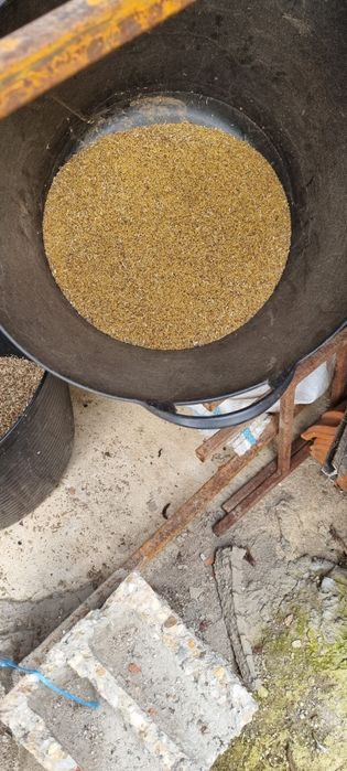 Seminte de cea mai bună calitate