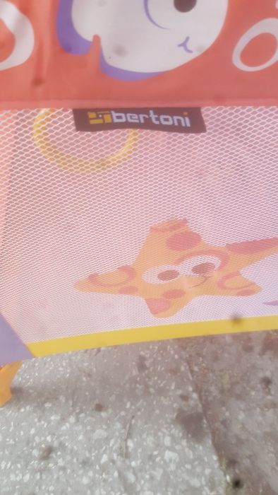 Детска кошарка Бертони