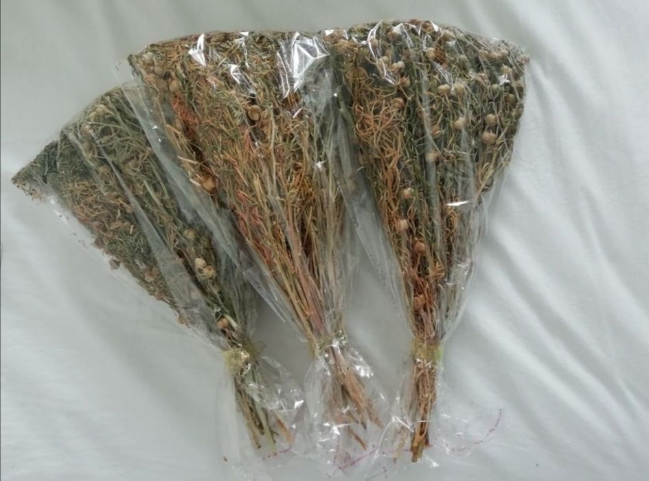 Новый адыраспан. Адраспан!