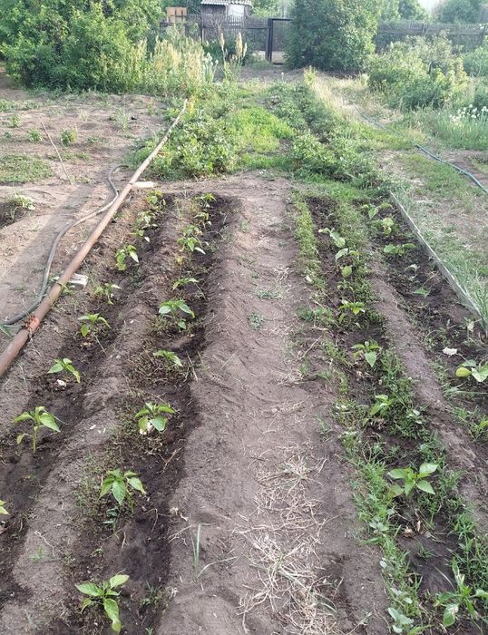 Продам дачу сад Металлург