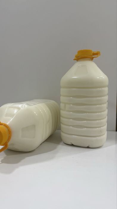 Катоннын таза кымызы