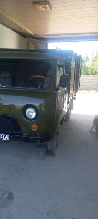 Увазик бартавой uvazik bartovy