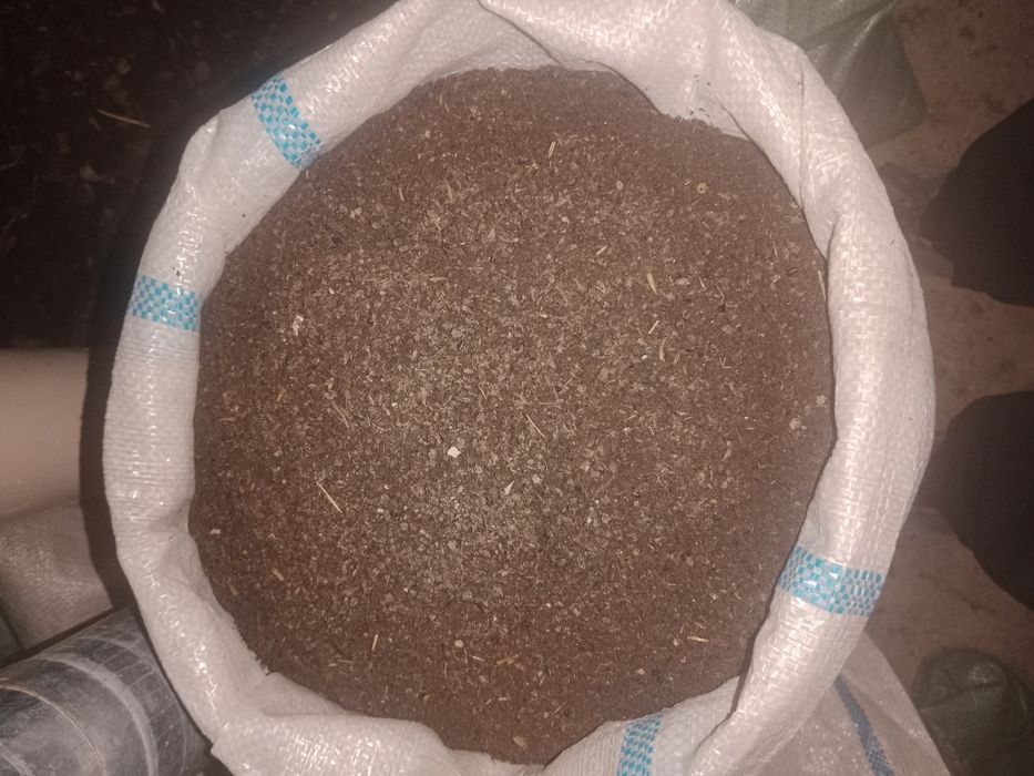 Biogomes bor sotiladi narxi 1500