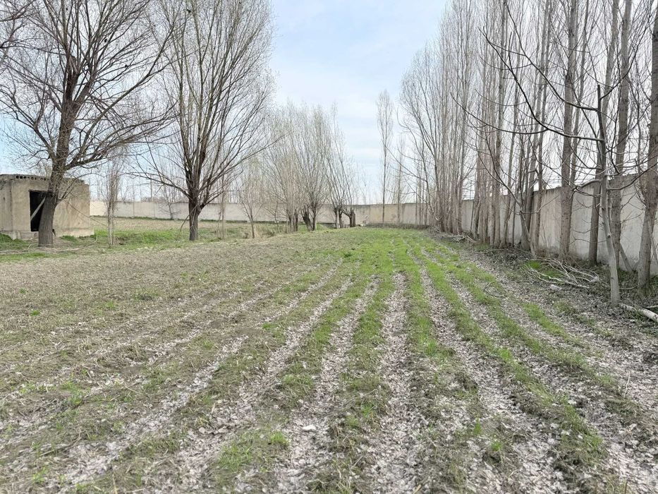 Yer oling — foyda qiling!