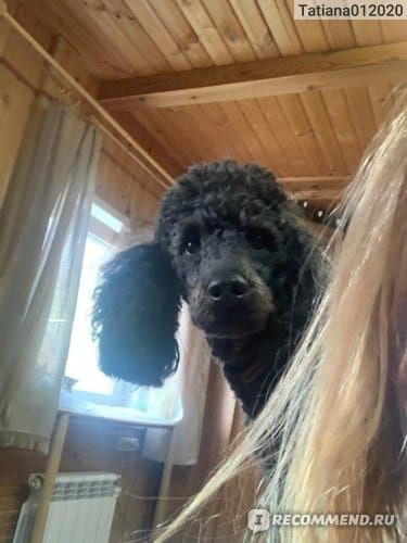 Продам или обмен