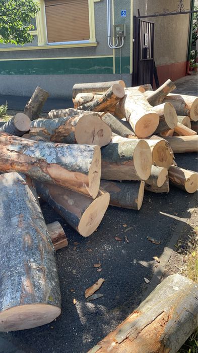 ‼️Lemne de foc calitate superioară‼️