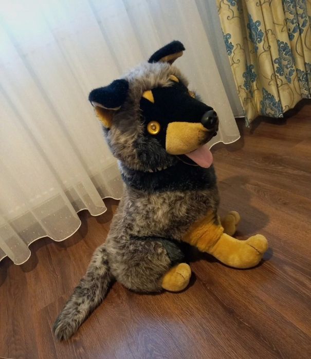 Caine de plus cu baterii. Latra la batut din palme si se aprind ochii