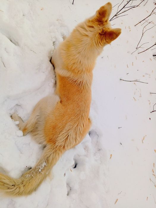 Очень добрая и ласковая девочка