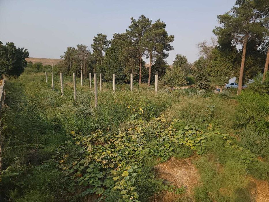 Кумкургон туман Сурхон Сохили МФЙ, А.Темур кучаси