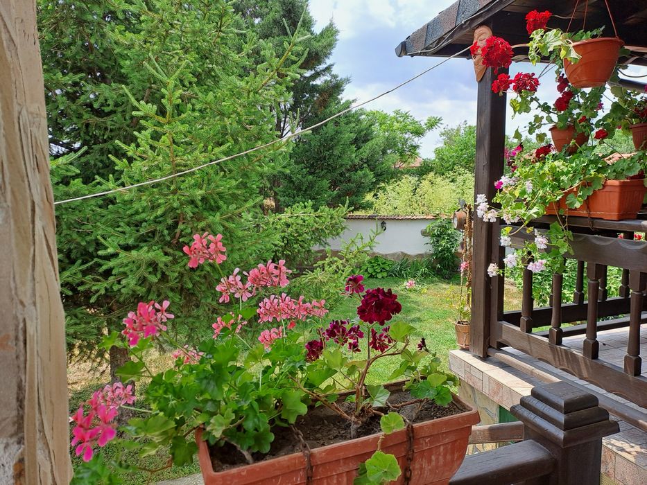 Продава се Къща в с. Лозенец, Област Ямбол - 130 кв.м за 302 €/кв.м - Снимка #20