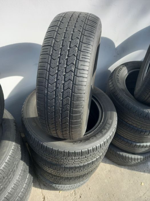 14 bu balonla yaxwi holata