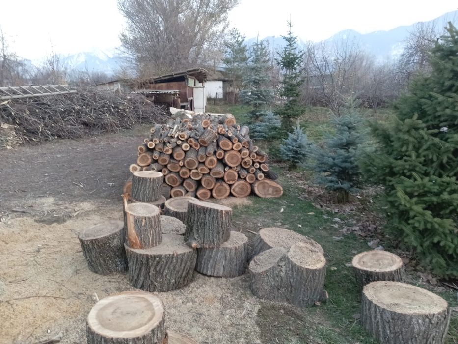 Продам дрова …..