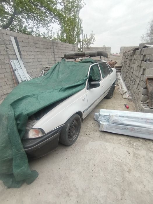 zapchas neksa 1 berilad