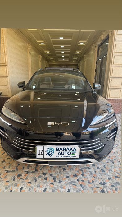 Byd chempion gibrid  110 tali