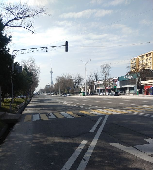 (Срочно) (сена за сотка) 1 линия Юнусабад Проспект Амир Темур шох куча