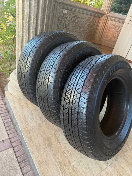 Шины Dunlop Grandtrek AT20