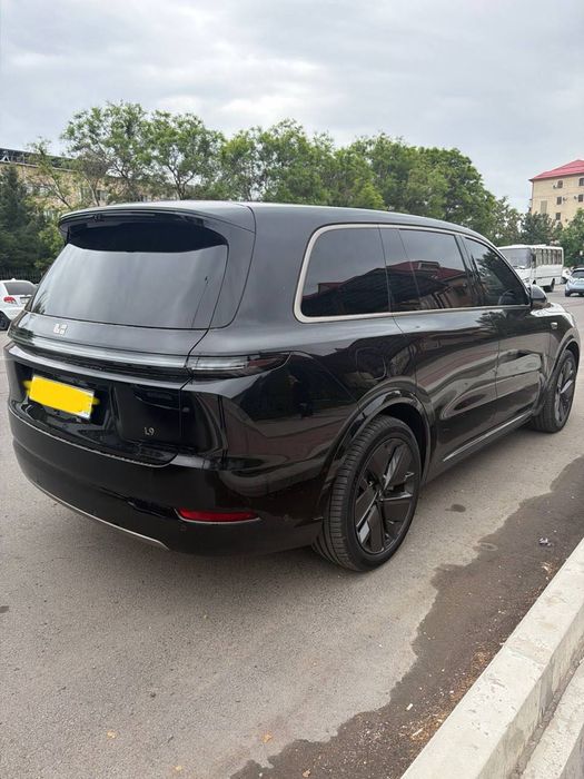 Li 9 ultra rest 2025