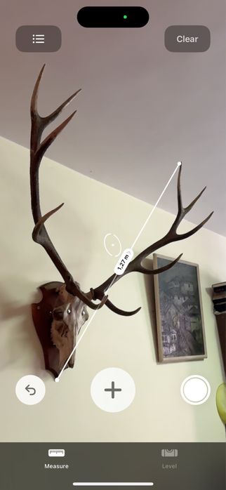 Истински Масивни Еленови Рога с Череп