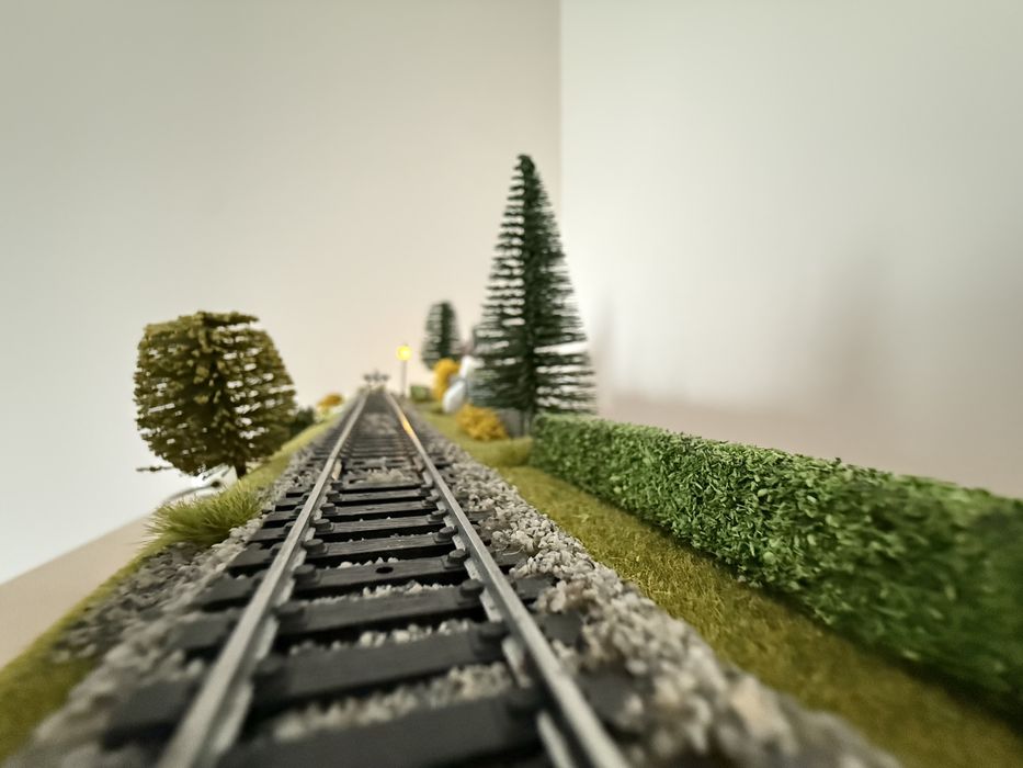 Vitrina macheta trenulet HO