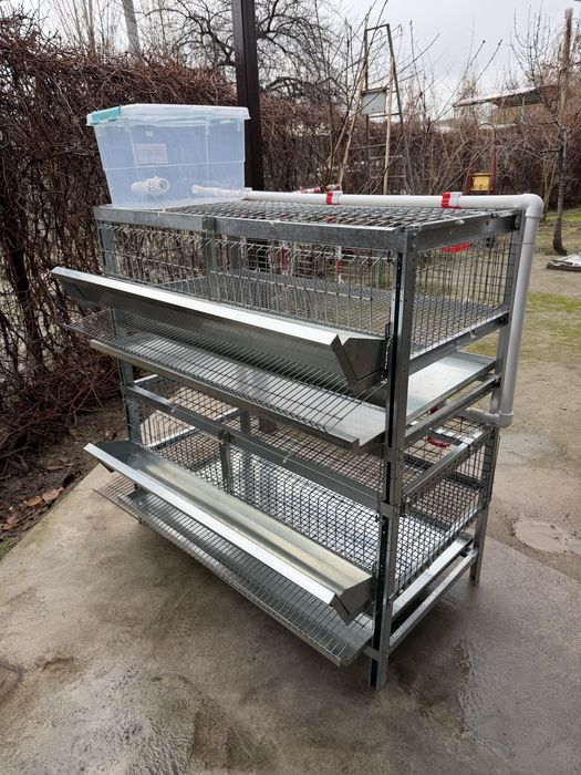 Qafas Bedana, jo’jalar uchun